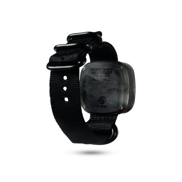 PALA UROE CEMANI 3